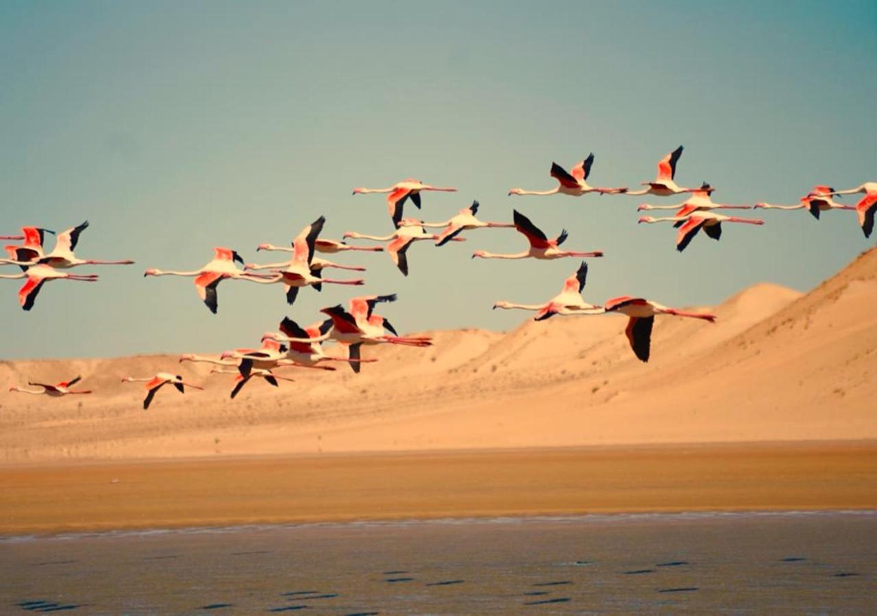 Paraiso Dakhla Esterno foto