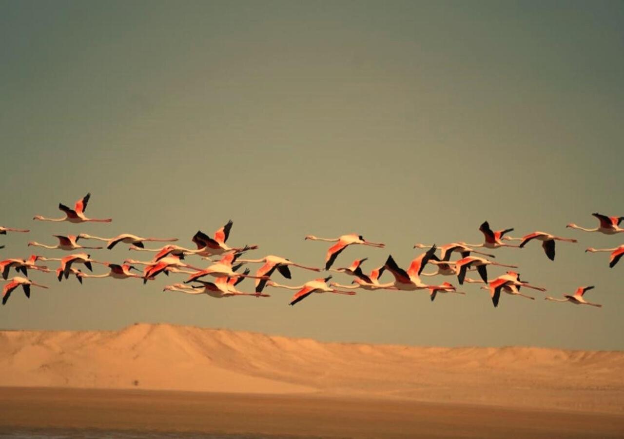 Paraiso Dakhla Esterno foto